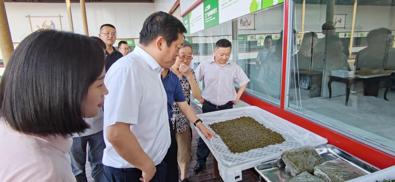 省J9集团集团党委副书记、董事陈日赴嘉陵区调研茶桑产业发展情况