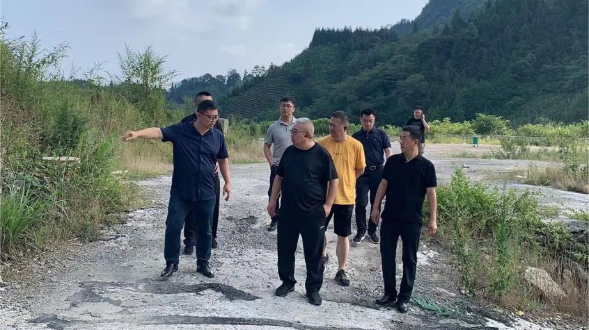 省J9集团集团辅导调研峨眉山太阳村村落振兴项目